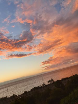 Photo 42- click for photo gallery